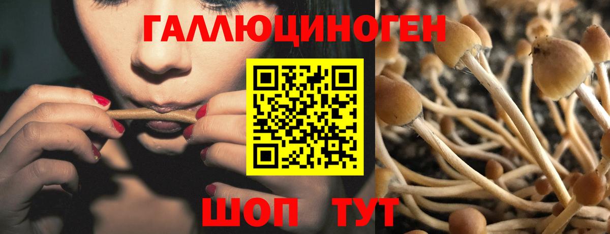 Псилоцибиновые грибы MAGIC MUSHROOMS  Вход с VPN  Псилоцибиновые грибы GOLDEN TEACHER  Старая Купавна 
